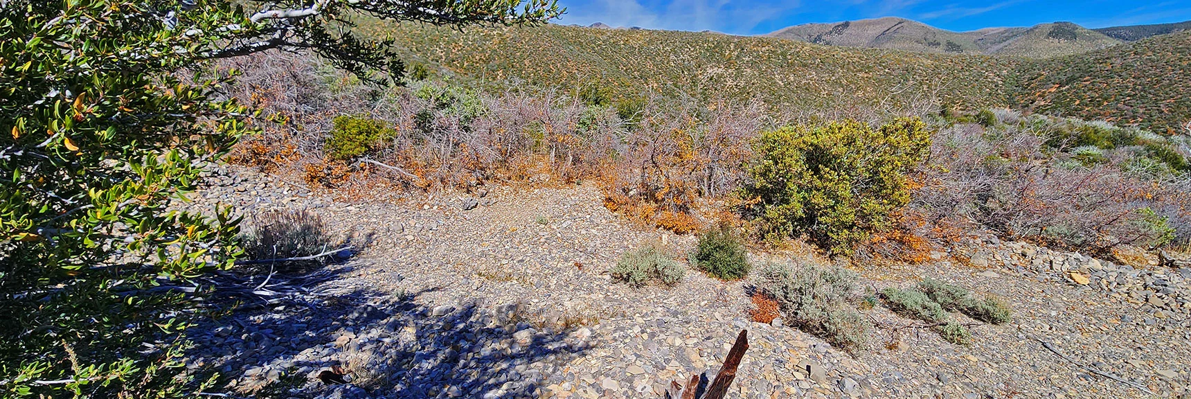 Trail Crosses an Upper Wash. Continue Straight Across vs. Heading Up of Down Wash. | Griffith Shadow Loop | Lovell Canyon, Nevada