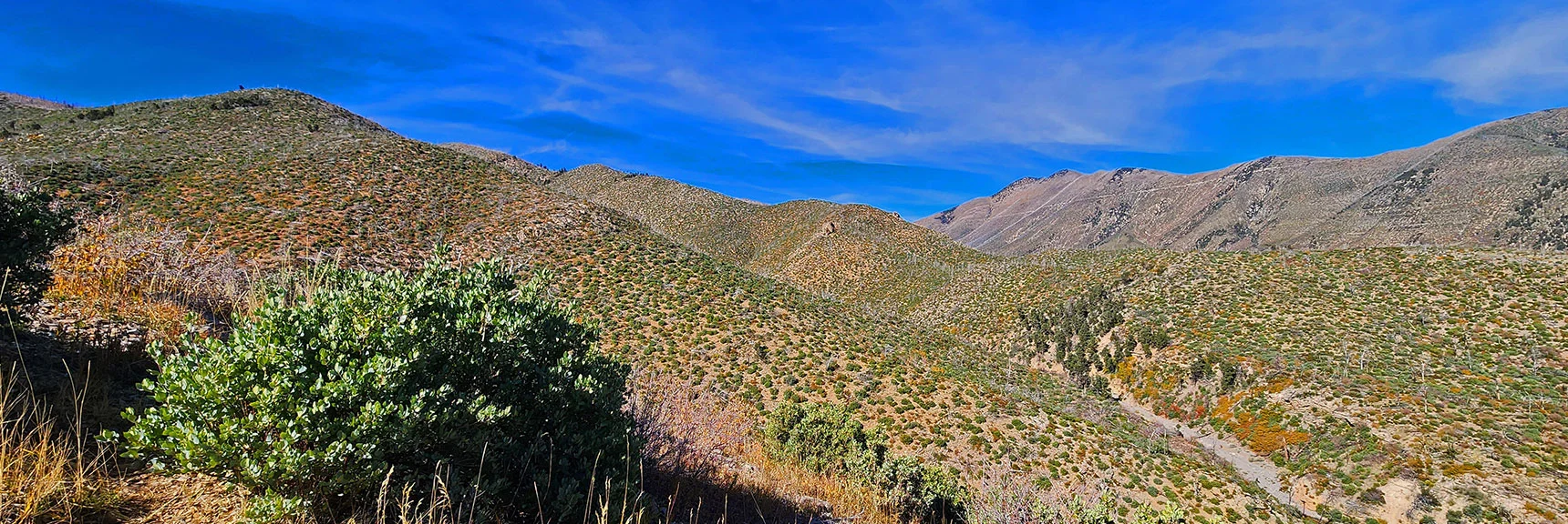 Two Sexton Ridge Approach Ridges Seen While Descending Toward Lovell Canyon Wash | Griffith Shadow Loop | Lovell Canyon, Nevada