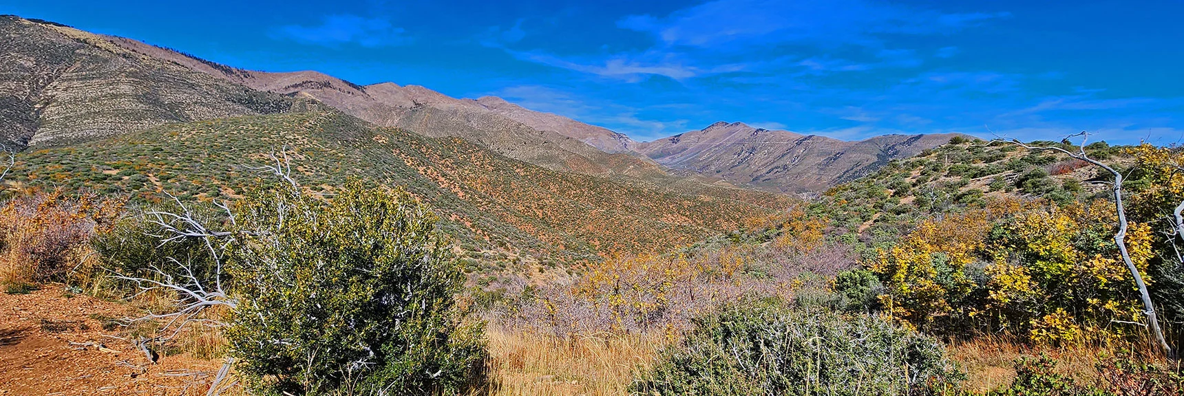 Sexton & Wilson Ridges and Upper Lovell Canyon from a High Point on the Eastern Loop | Griffith Shadow Loop | Lovell Canyon, Nevada