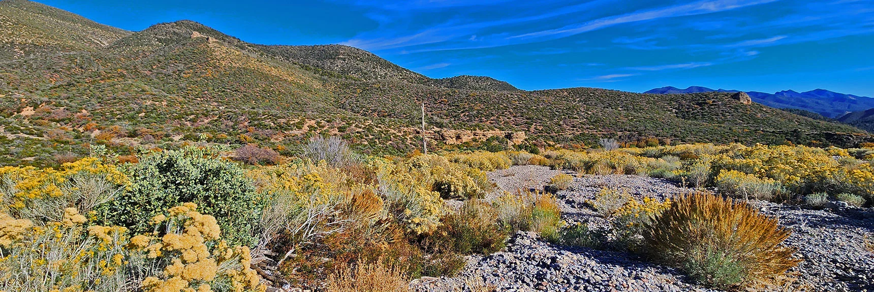 However, Looking Down the Wash Saw East Loop Resume Just Below Brown Ledge. | Griffith Shadow Loop | Lovell Canyon, Nevada