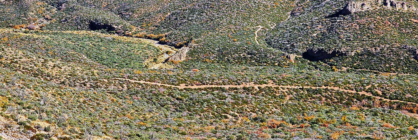 Lower East Griffith Shadow Loop Trail Winds Above More Clearly Defined Schaefer Springs Loop Trail. | Griffith Shadow Loop | Lovell Canyon, Nevada