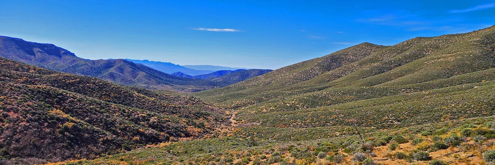View Down Trout Canyon. Note Approach Ridge to Sexton Ridgeline on Right. | Griffith Shadow Loop | Lovell Canyon, Nevada