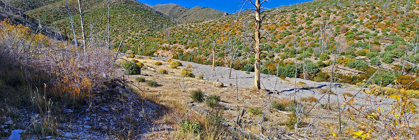 Trail Descending into Lovell Canyon Wash. | Griffith Shadow Loop | Lovell Canyon, Nevada