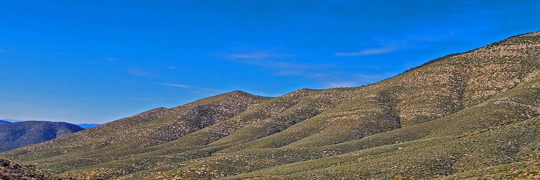 Lower Ascent Ridge from Lovell Summit Road to Sexton Ridgeline. | Griffith Shadow Loop | Lovell Canyon, Nevada