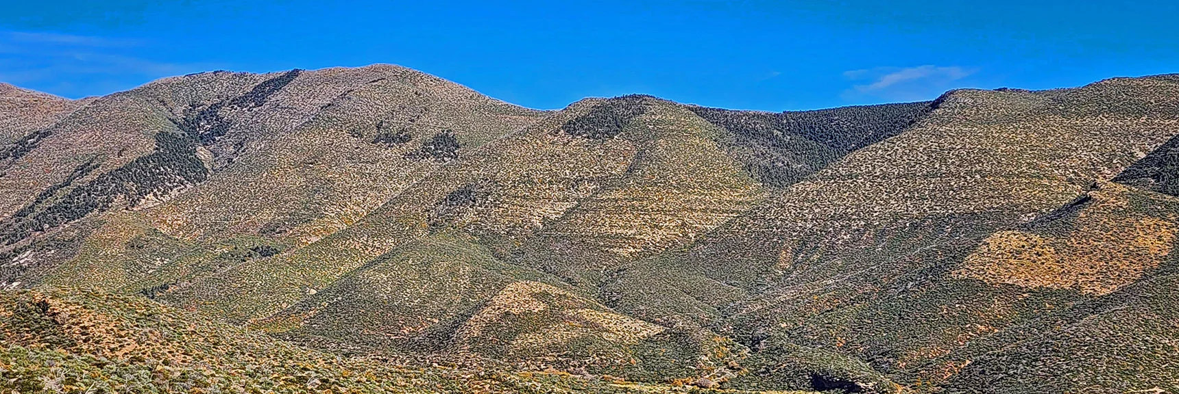 Further Down Wilson Ridge Between Harris Mt. and Southern High Point. | Griffith Shadow Loop | Lovell Canyon, Nevada
