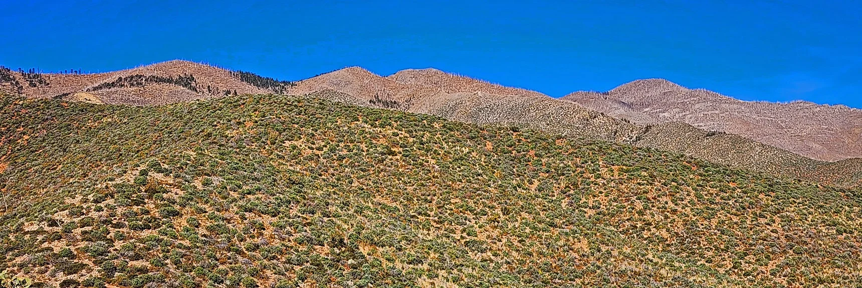 Continued Descent of Sexton Ridge on West Side of Lovell Canyon | Griffith Shadow Loop | Lovell Canyon, Nevada