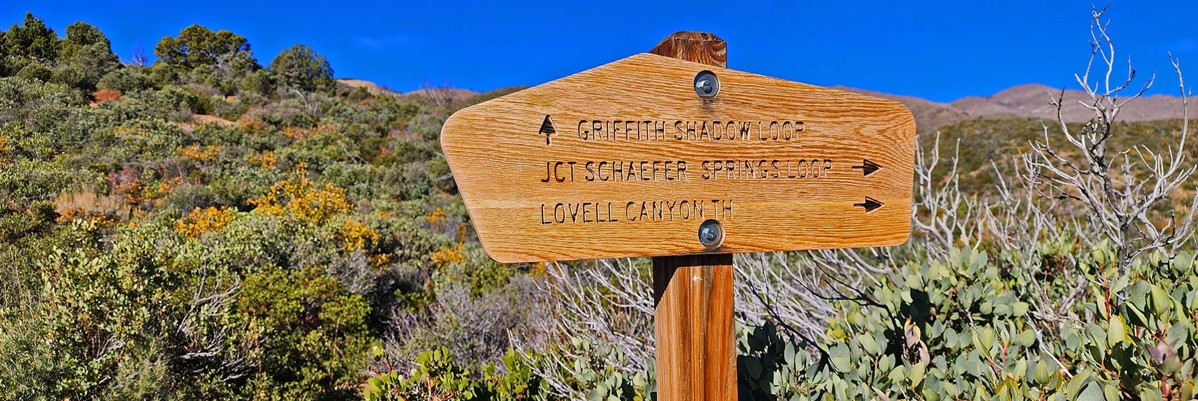 Choices at Second Trail Division. Official Start of Griffith Shadow Loop. Trail Becomes Obscure in Places.| Griffith Shadow Loop | Lovell Canyon, Nevada