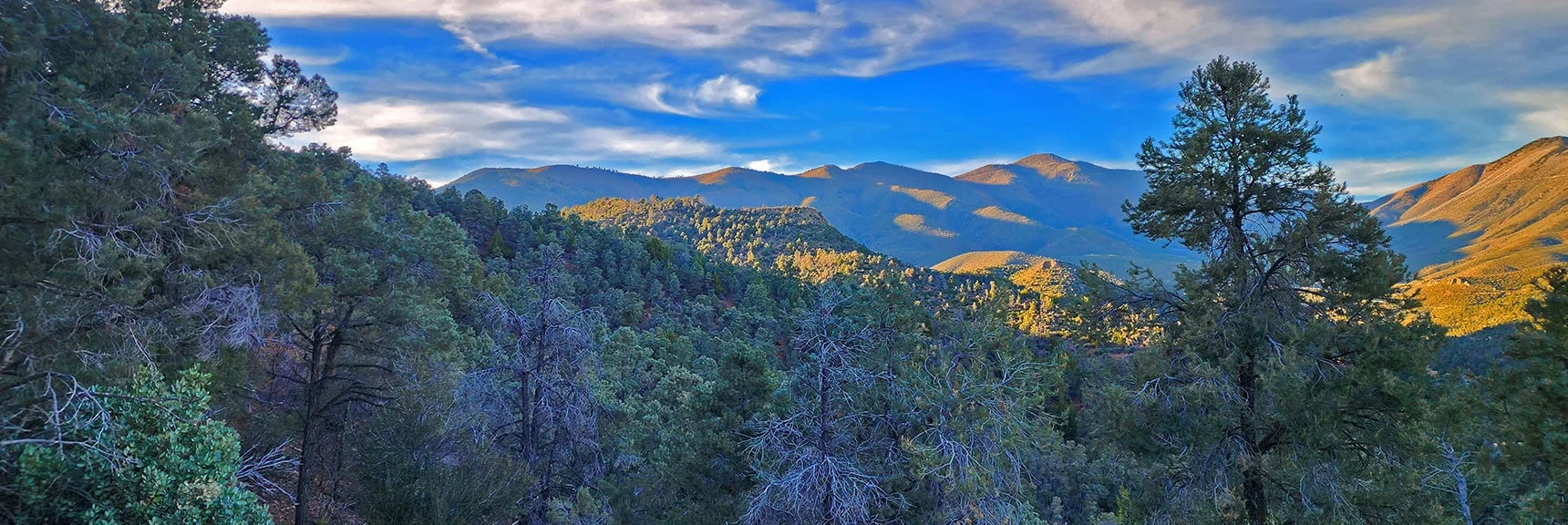 Early Evening View Up Lovell Canyon to Sexton Ridge and Griffith Peak. | Griffith Shadow Loop | Lovell Canyon, Nevada