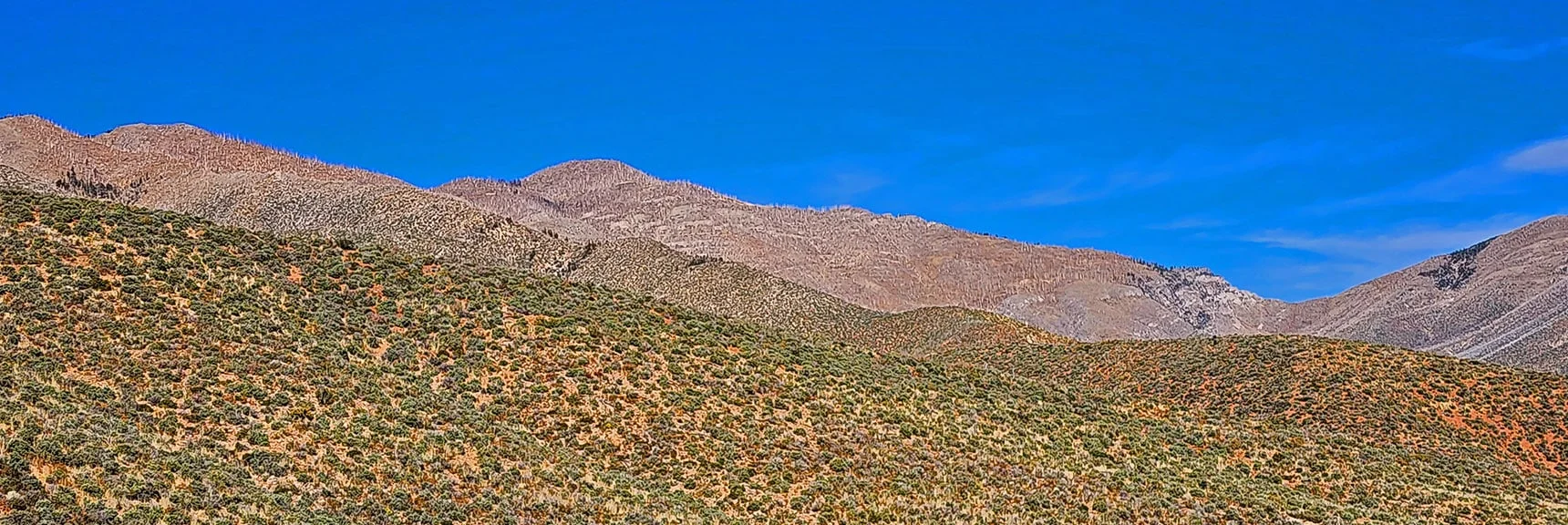 Sexton Ridge Descending the Left Below Griffith Peak. | Griffith Shadow Loop | Lovell Canyon, Nevada
