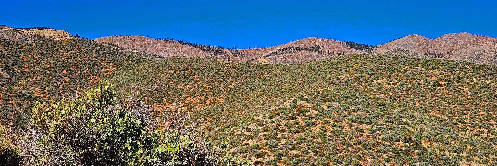 Continued Descent of Sexton Ridge. | Griffith Shadow Loop | Lovell Canyon, Nevada