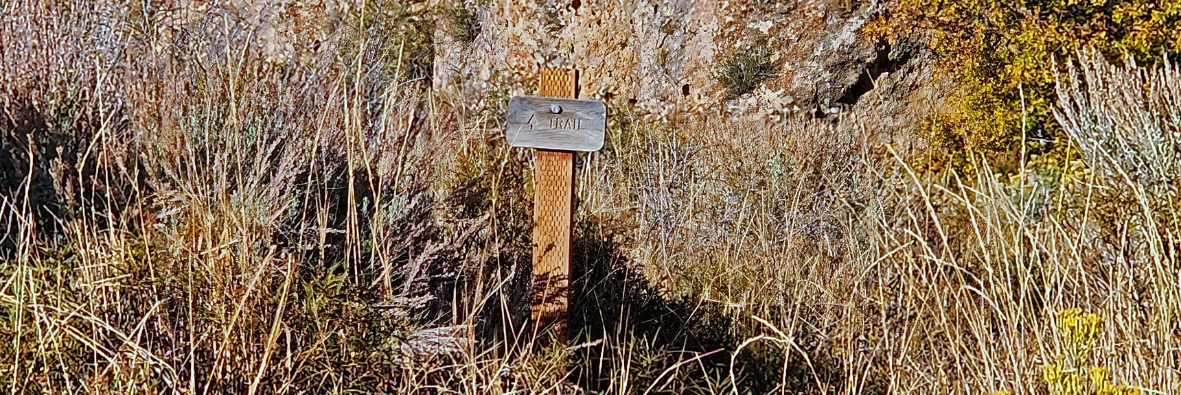 Larger View of "Trail" Sign in Middle of Canyon. Important Marker in Midst of Thick Brush. | Griffith Shadow Loop | Lovell Canyon, Nevada
