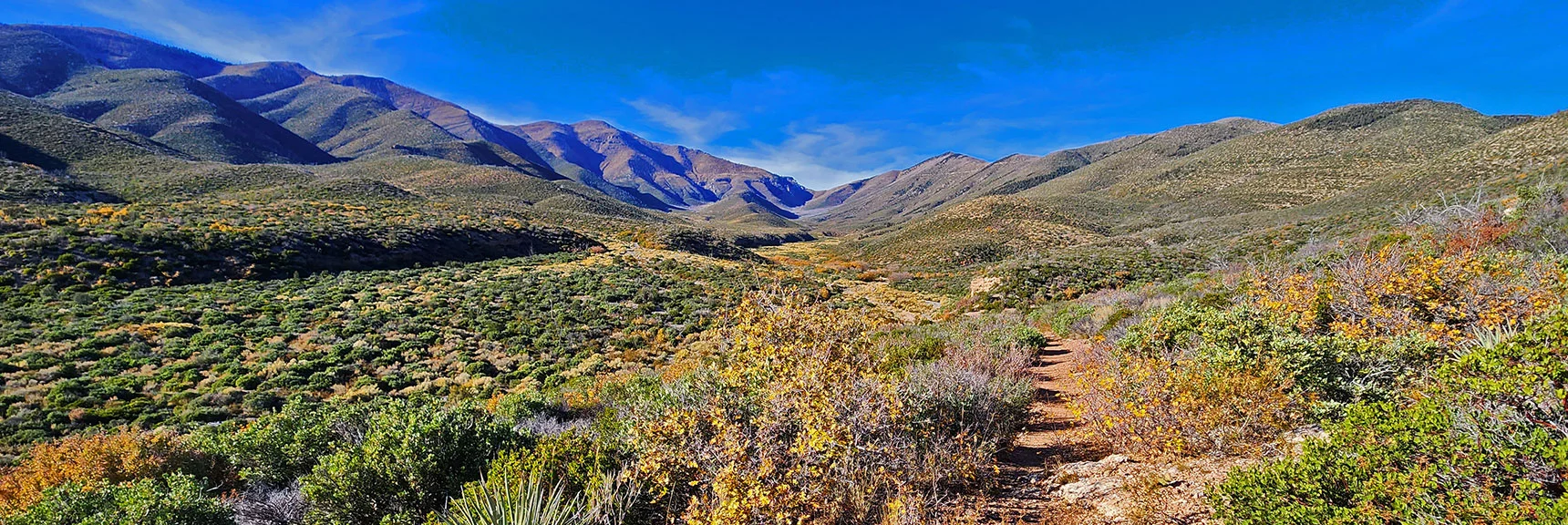 However, if You're on the Trail, the Route is Clear. View Up Trail to Upper Lovell Canyon. | Griffith Shadow Loop | Lovell Canyon, Nevada