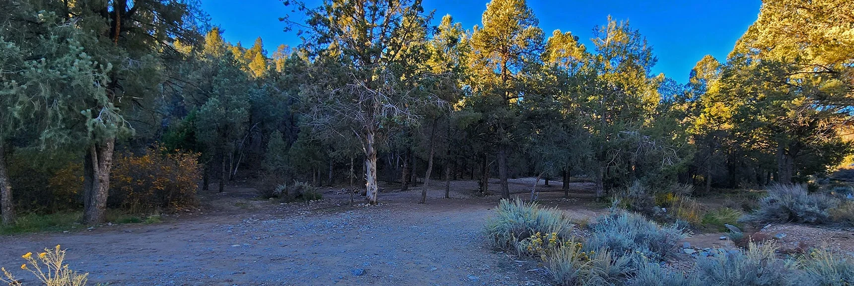 Campground and Main Trailheads 1/4th Mile Up Lovell Summit Road | Griffith Shadow Loop | Lovell Canyon, Nevada
