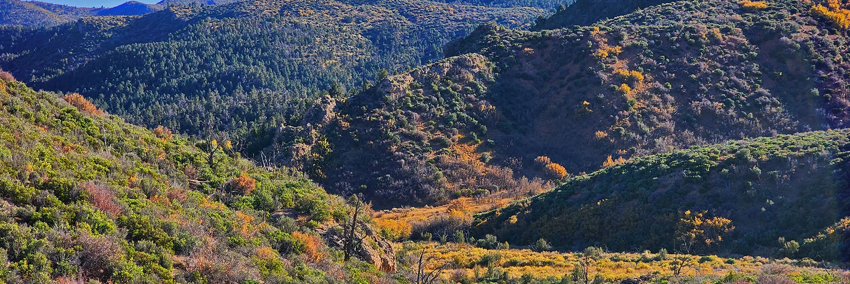 Closer View of Rocky Ridge Below on West Side of Canyon. If You Missed the Trail, Just Head for That Ridge. | Griffith Shadow Loop | Lovell Canyon, Nevada
