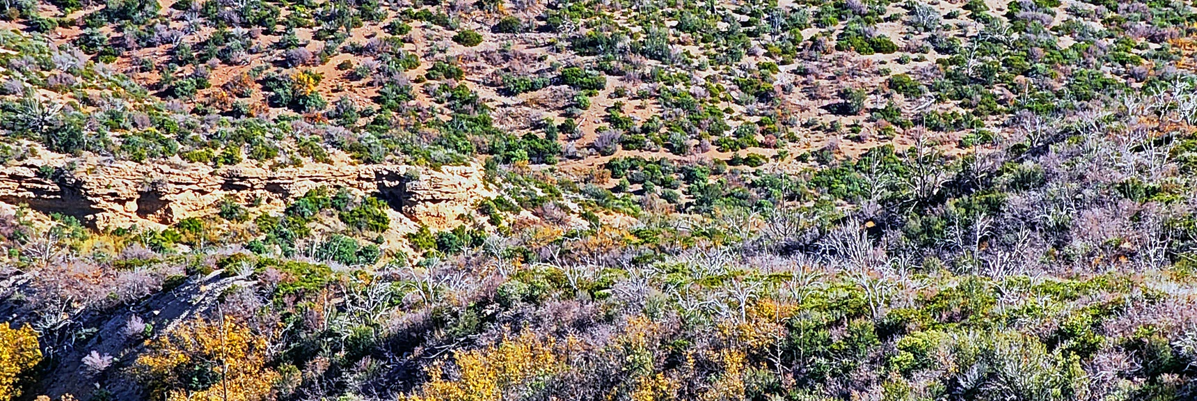Closer View of East Loop Trail Resuming Below the Ledge. Head Down Wash to That Point. | Griffith Shadow Loop | Lovell Canyon, Nevada