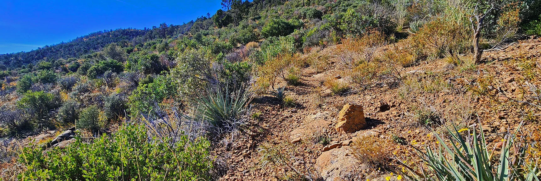 Loop Trail Becomes More Obscure in Higher East Side Elevations | Griffith Shadow Loop | Lovell Canyon, Nevada