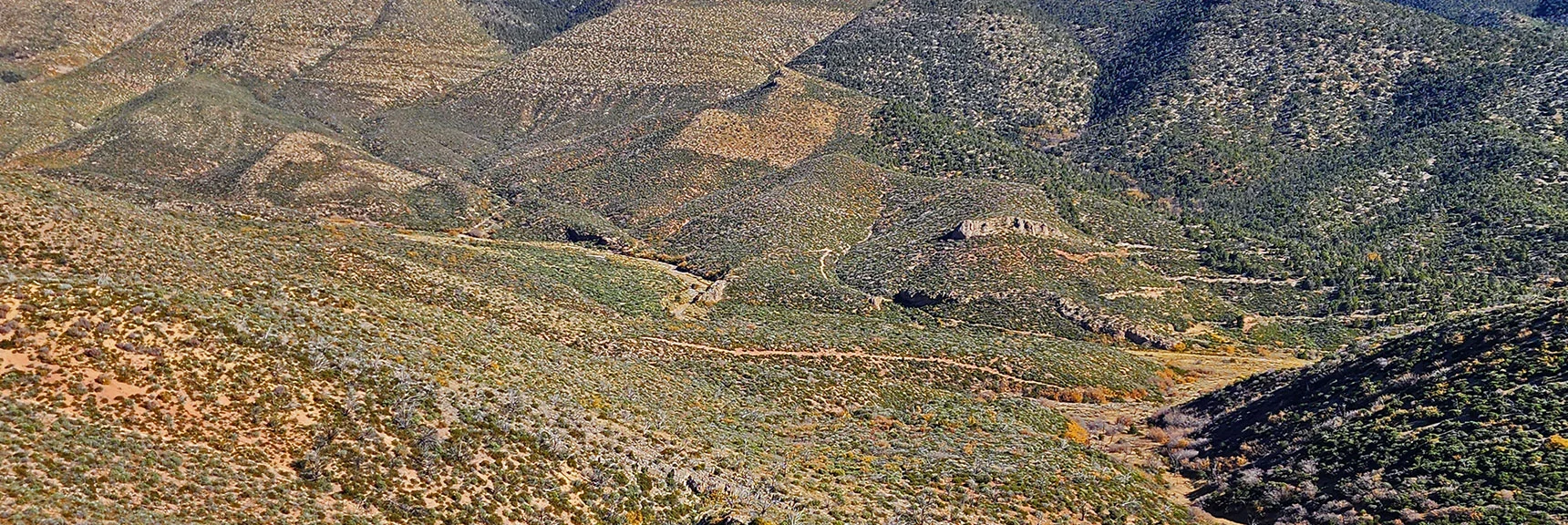 Lovell Canyon Below. Griffith Shadow Loop and Schaefer Springs Loop Trails Visible. | Griffith Shadow Loop | Lovell Canyon, Nevada