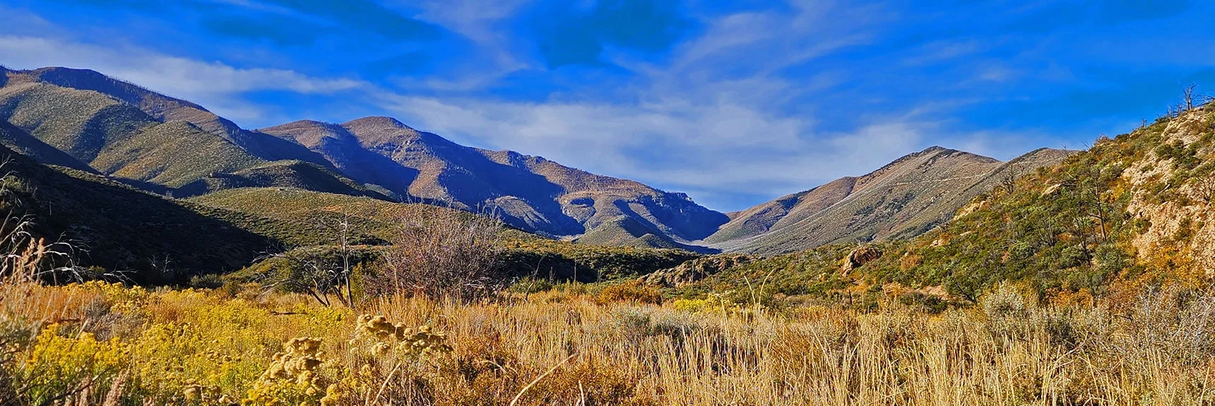 Beautiful Afternoon View Up Lovell Canyon During Canyon Crossing. | Griffith Shadow Loop | Lovell Canyon, Nevada