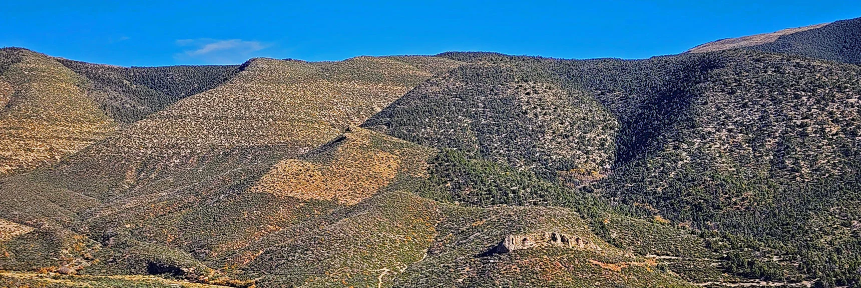 Lower Rocky Ledge Marks Good Wilson Ridge Ascent Point. Any of These Approach Ridges Would Work. | Griffith Shadow Loop | Lovell Canyon, Nevada