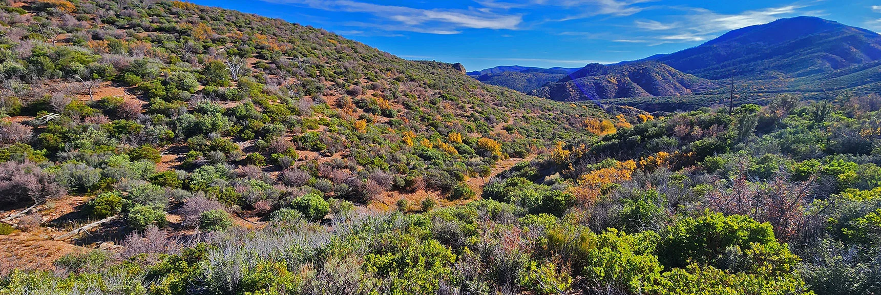 Now on East Side of Wash Where East Loop Resumes Just Ahead. | Griffith Shadow Loop | Lovell Canyon, Nevada