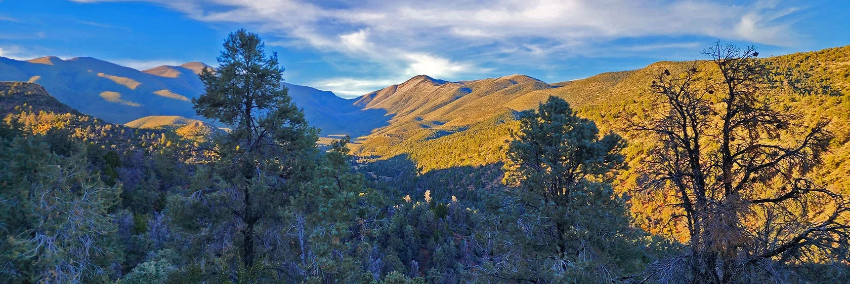 Early Evening View Up Lovell Canyon to Wilson Ridge and Harris Mountain. | Griffith Shadow Loop | Lovell Canyon, Nevada