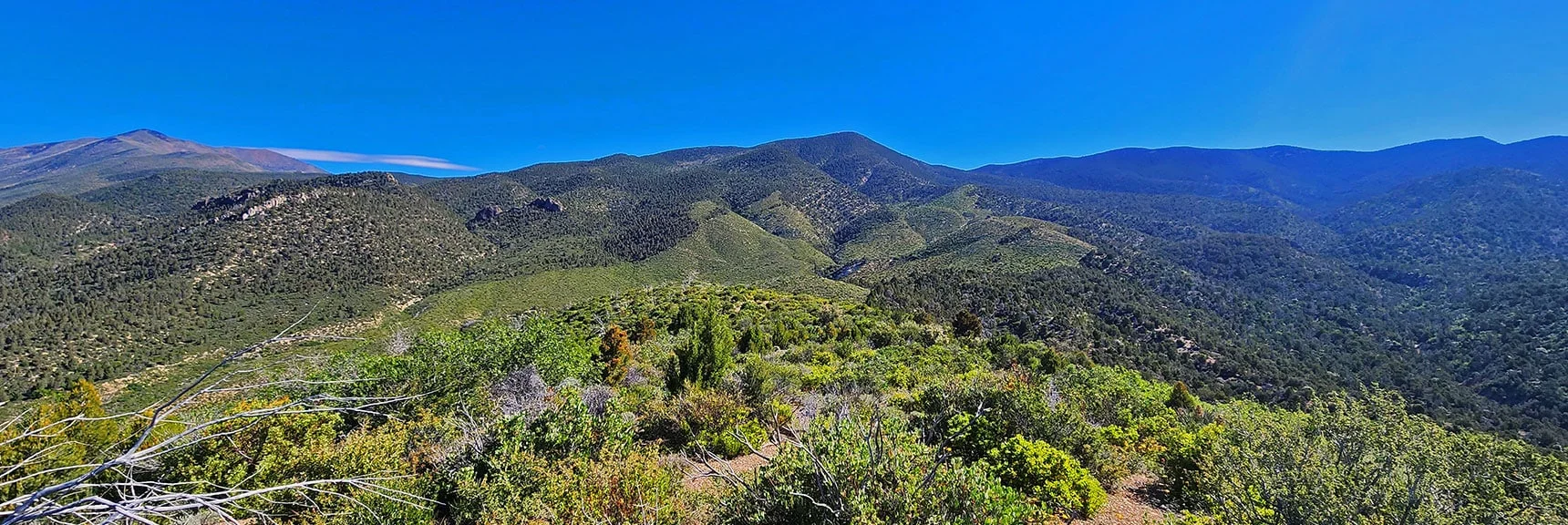 Wilson Ridge South High Point and its Approach Ridges. North Ridge to Left is Choked with Brush! | Wilson Ridge South High Point | Lovell Canyon, Nevada