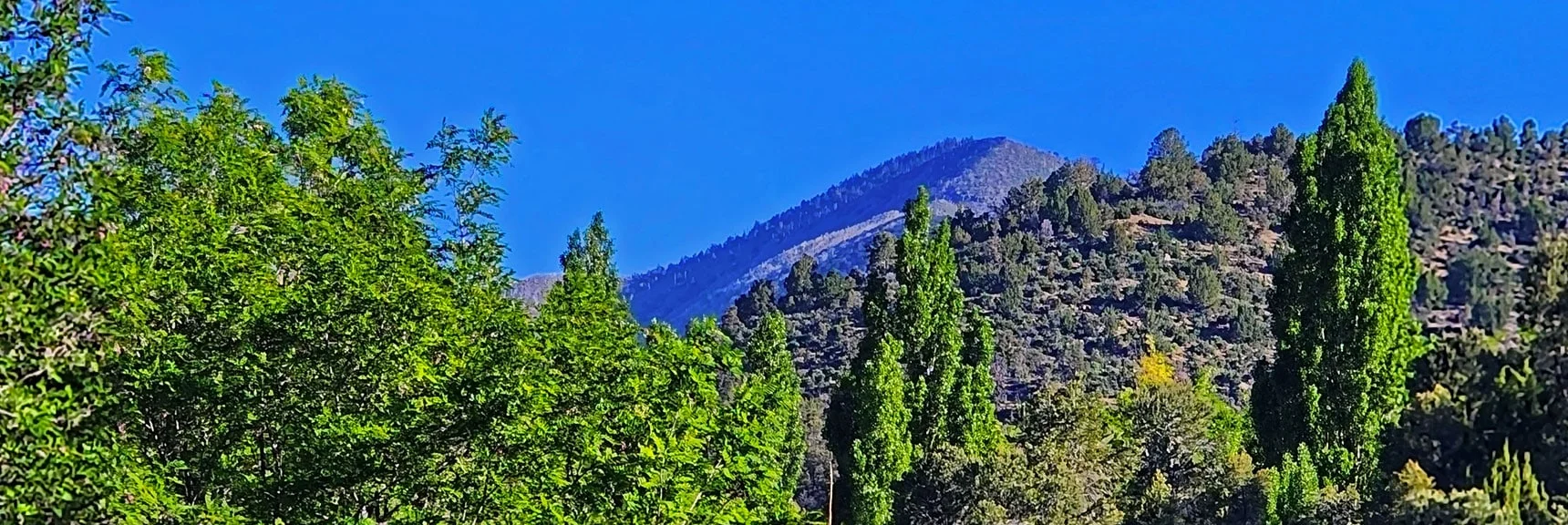 Harris Mountain Visible from Upper End of Lovell Canyon Road. | Wilson Ridge South High Point | Lovell Canyon, Nevada