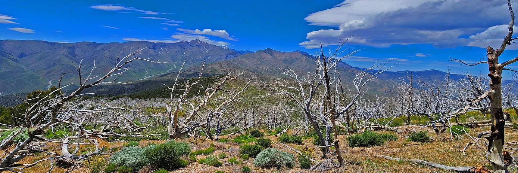 Sexton Ridge to Griffith Peak (left) ; Wilson Ridge to Harris Mountain (right). | Wilson Ridge South High Point | Lovell Canyon, Nevada
