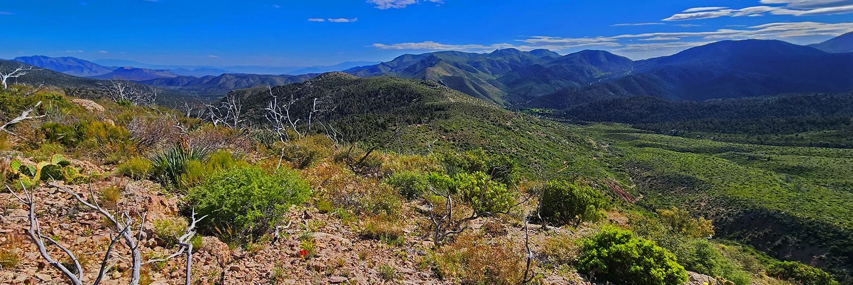 View Back Down Wilson Ridge South High Point. Brush Thinning Out, No Longer a Problem. | Wilson Ridge South High Point | Lovell Canyon, Nevada