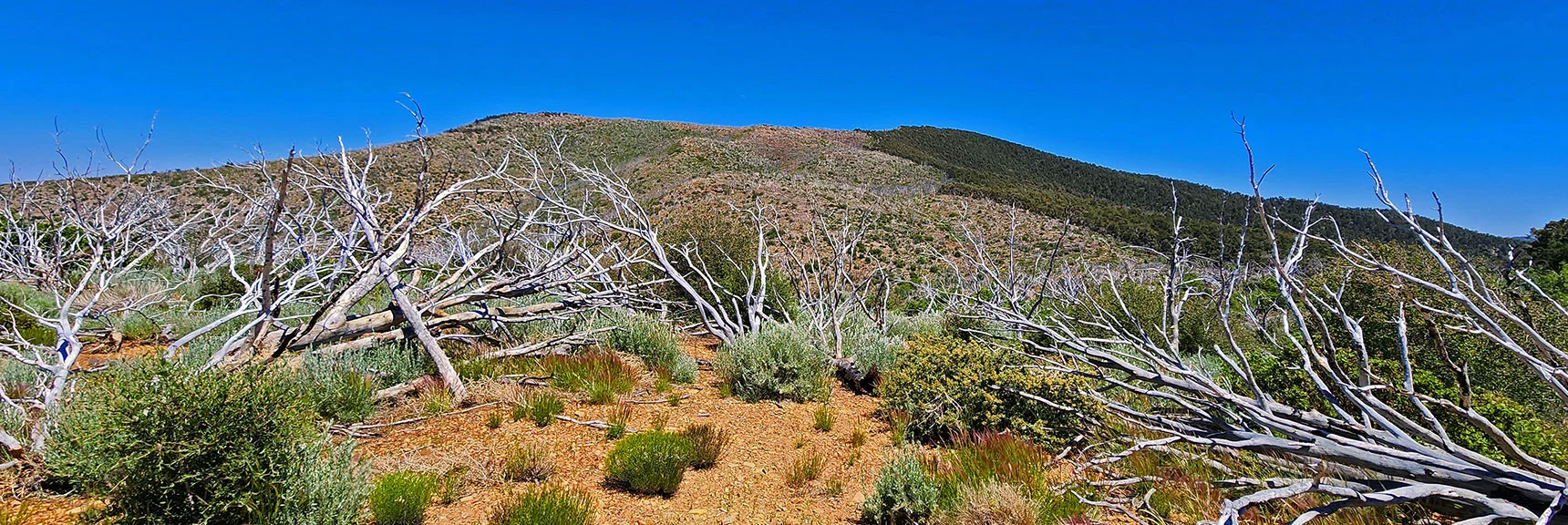 View Back South to Wilson Ridge South High Point | Wilson Ridge Lovell Canyon Loop | Lovell Canyon, Nevada