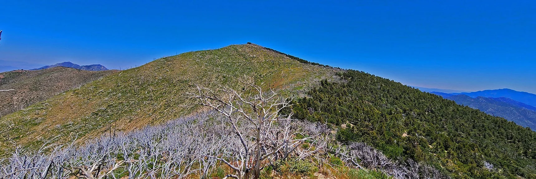 View Back South to Wilson Ridge South High Point. Burn Area vs. Lush Forest is Evident. | Wilson Ridge Lovell Canyon Loop | Lovell Canyon, Nevada