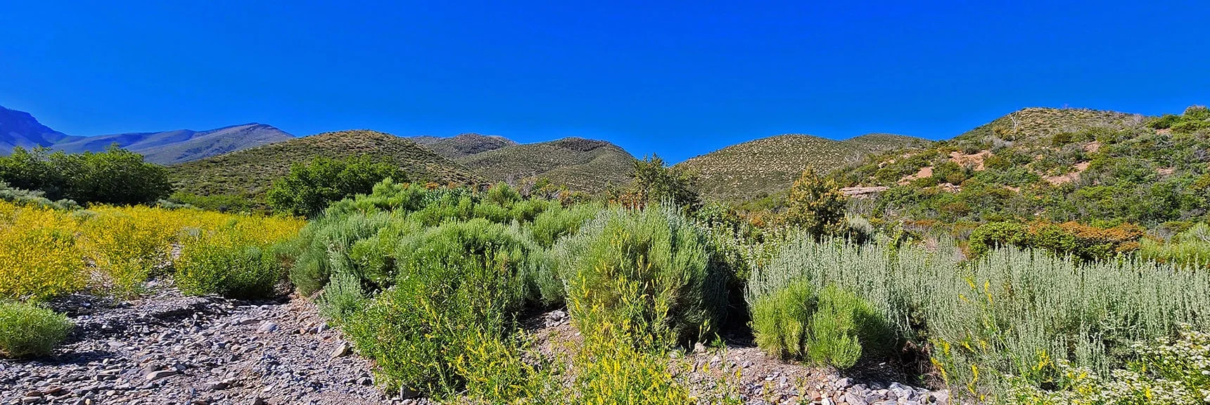 View Up the Canyon. Base of Wilson Ridge Approach Ridges to the Right. | Wilson Ridge Lovell Canyon Loop | Lovell Canyon, Nevada