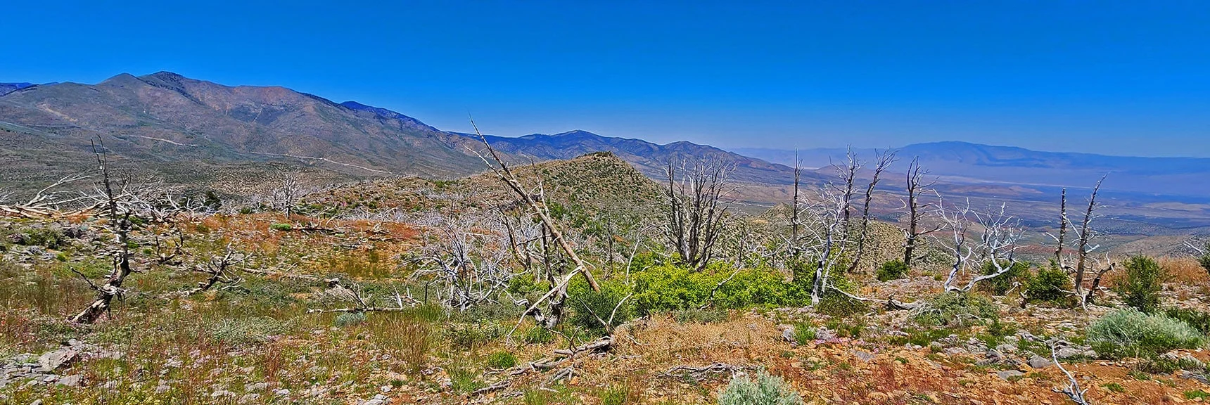 Kyle Canyon Below Toward Faint Sheep Range (right) | Wilson Ridge Lovell Canyon Loop | Lovell Canyon, Nevada