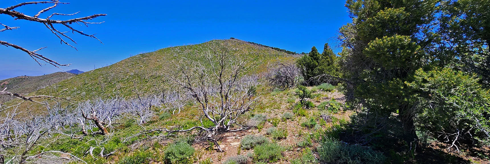 View Back South to Wilson Ridge South High Point | Wilson Ridge Lovell Canyon Loop | Lovell Canyon, Nevada
