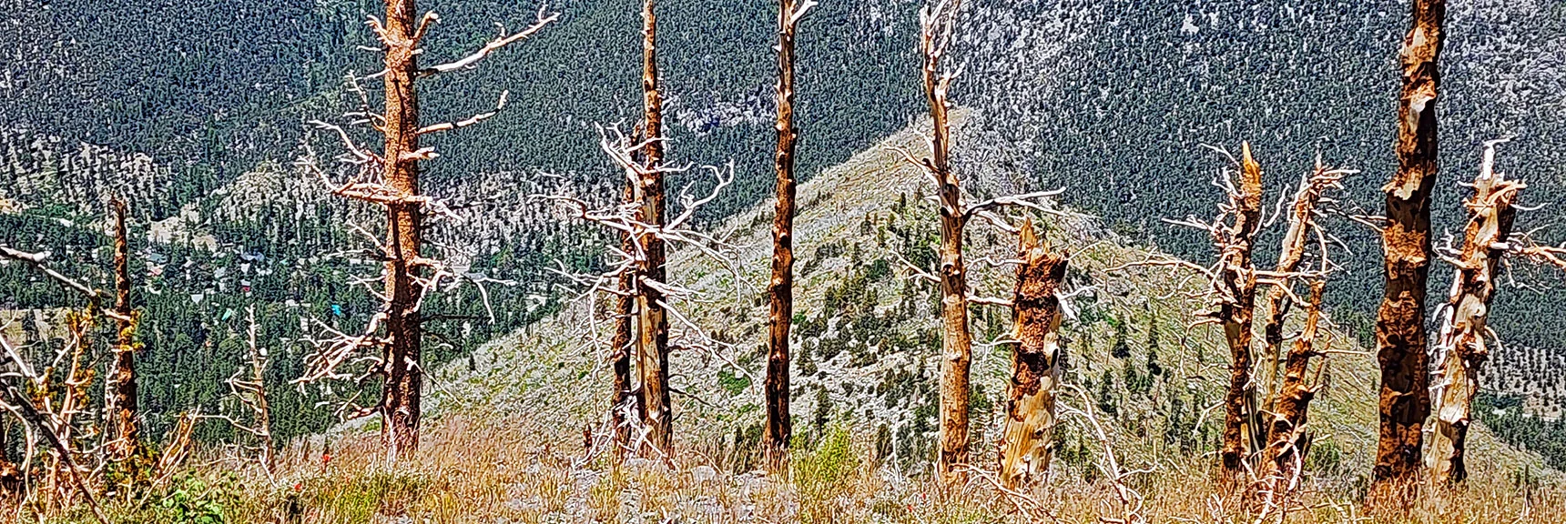 View Back Down Harris Mt. Western Approach Ridge from Near Harris Mt. Summit. | Fletcher Canyon to Harris Mountain Summit | Mt Charleston Wilderness, Nevada