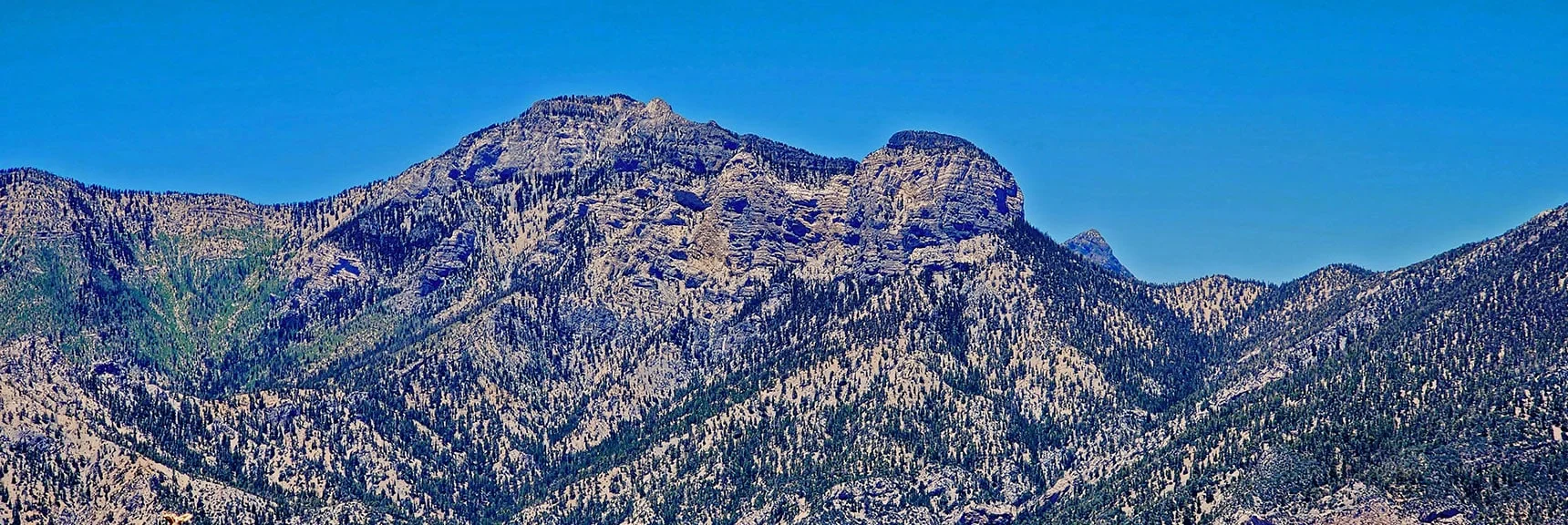 Mummy Mountain, Saddle to Fletcher Peak on Right Below Mummy's Toe. Tip of Mummy's Head. | Fletcher Canyon to Harris Mountain Summit | Mt Charleston Wilderness, Nevada