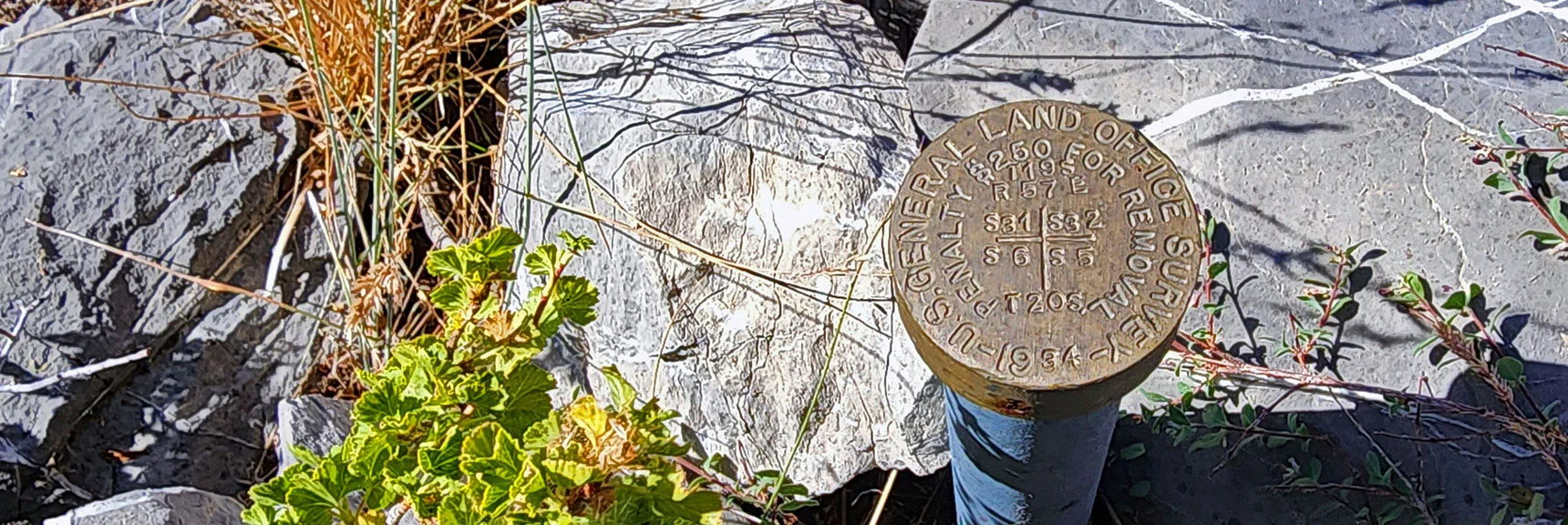 Earlier 1937 Survey Marker Hidden Away on This Ridge. | Fletcher Canyon to Harris Mountain Summit | Mt Charleston Wilderness, Nevada