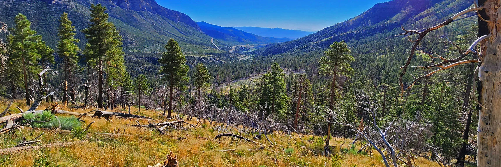 View Down Kyle Canyon While Ascending Toward Center of Western Approach Ridge. | Fletcher Canyon to Harris Mountain Summit | Mt Charleston Wilderness, Nevada