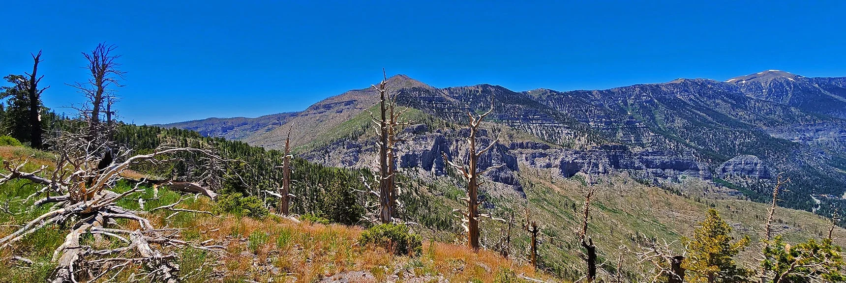 View Across Harris/Griffith Saddle to Griffith Peak, Kyle Canyon South Rim, Charleston Peak. | Fletcher Canyon to Harris Mountain Summit | Mt Charleston Wilderness, Nevada