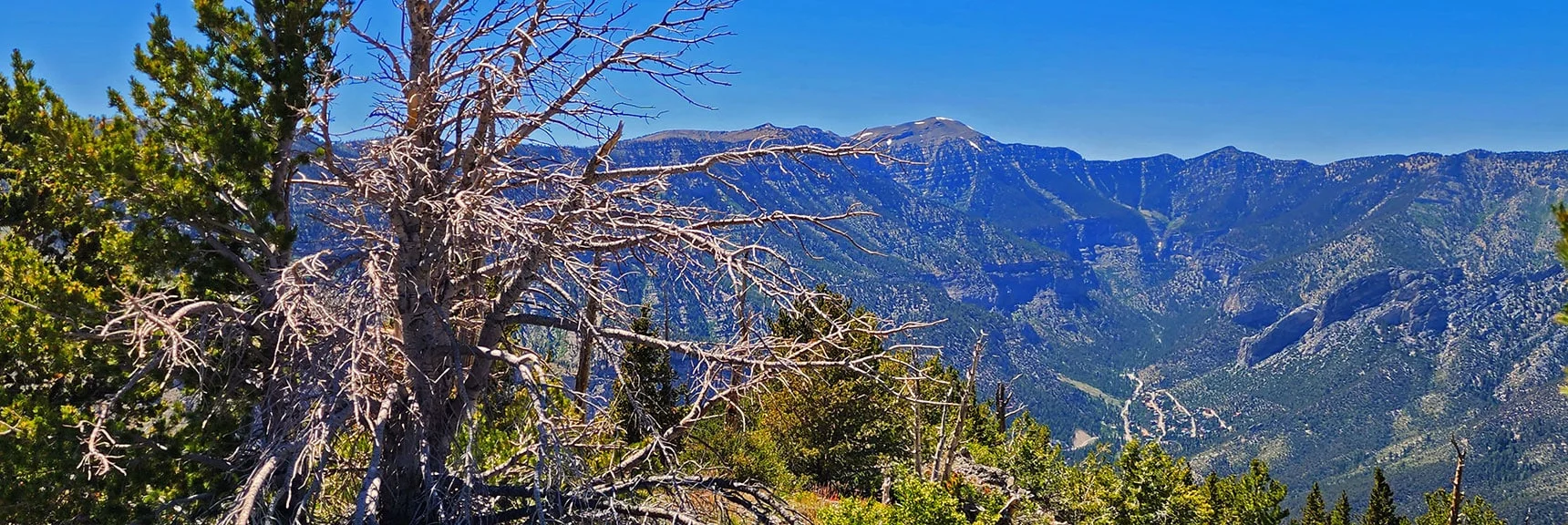 Charleston Peak from Harris Mt. Summit. | Fletcher Canyon to Harris Mountain Summit | Mt Charleston Wilderness, Nevada