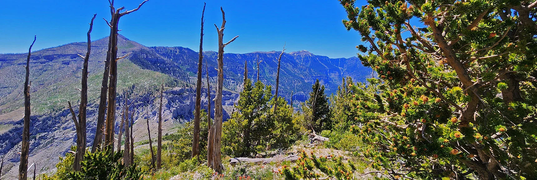 Harris/Griffith Saddle From Harris Mt. Summit. | Fletcher Canyon to Harris Mountain Summit | Mt Charleston Wilderness, Nevada