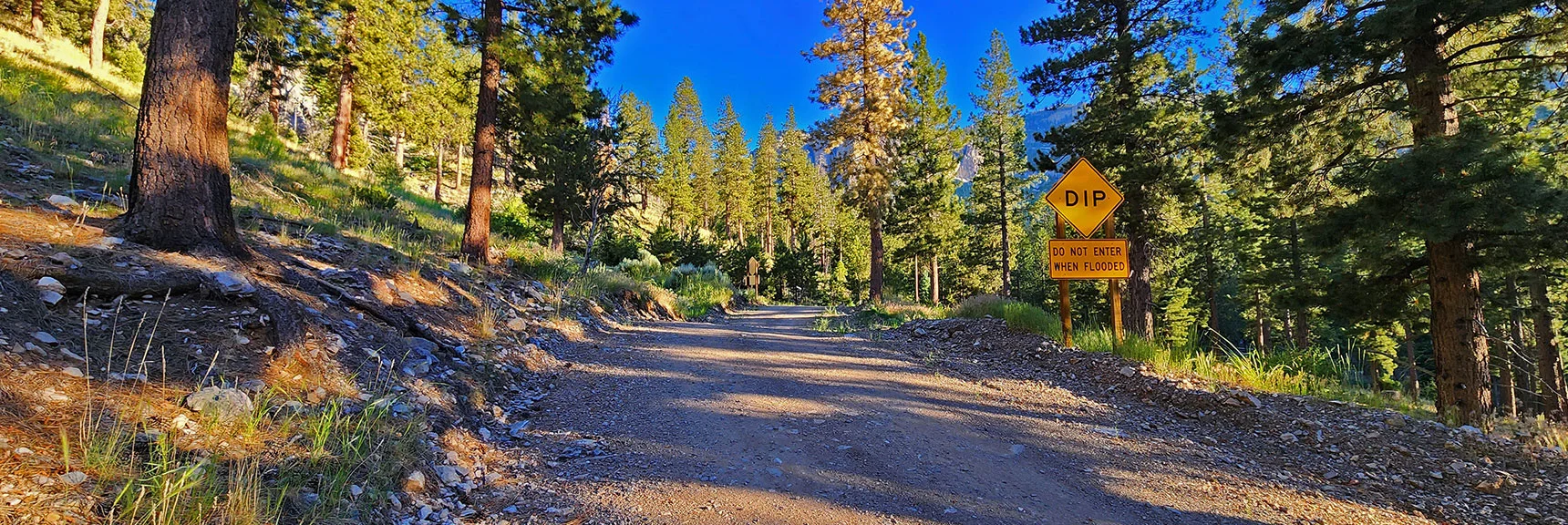 Now on Rainbow Ridge Road Skirting Subdivision East Edge. | Fletcher Canyon to Harris Mountain Summit | Mt Charleston Wilderness, Nevada