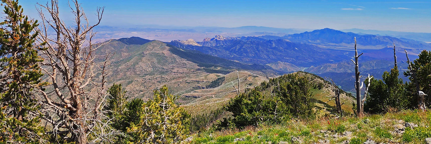 View Down Wilson Ridge to Rainbow Mts. and Potosi Mt. | Fletcher Canyon to Harris Mountain Summit | Mt Charleston Wilderness, Nevada