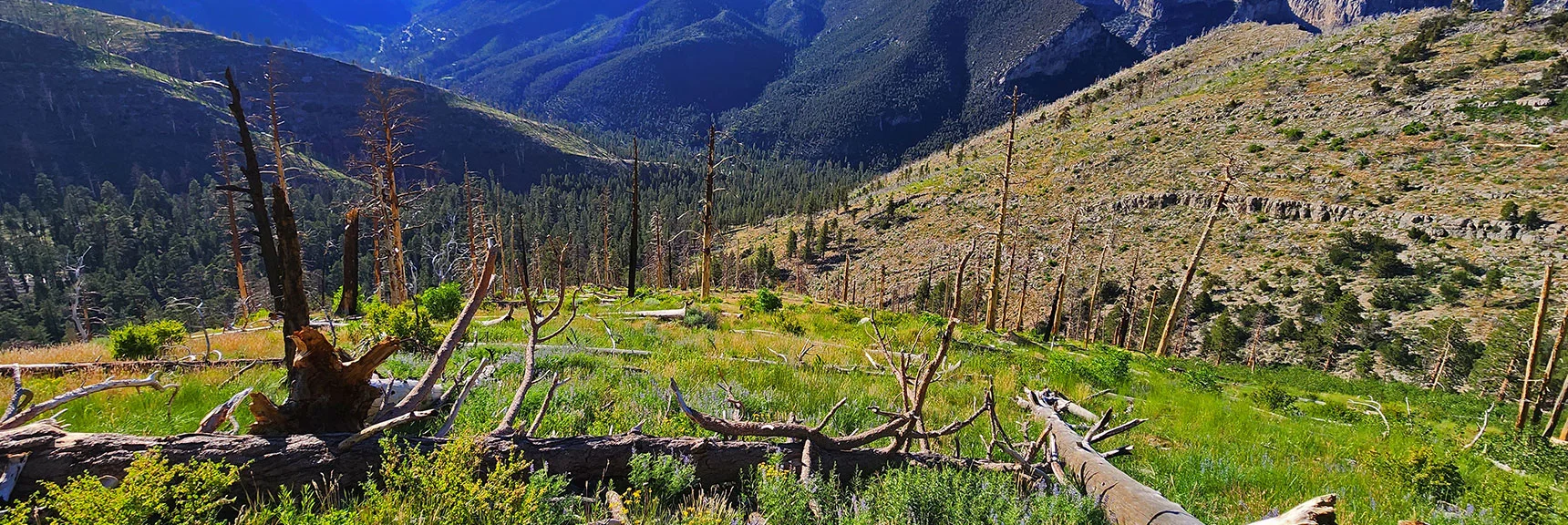 This Ridge Will Land on East Edge of Rainbow Subdivision. | Fletcher Canyon to Harris Mountain Summit | Mt Charleston Wilderness, Nevada