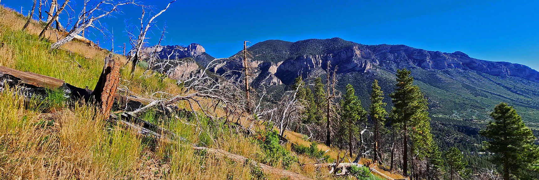 Mummy's Toe & Fletcher Peak Views Expand During Ascent | Fletcher Canyon to Harris Mountain Summit | Mt Charleston Wilderness, Nevada