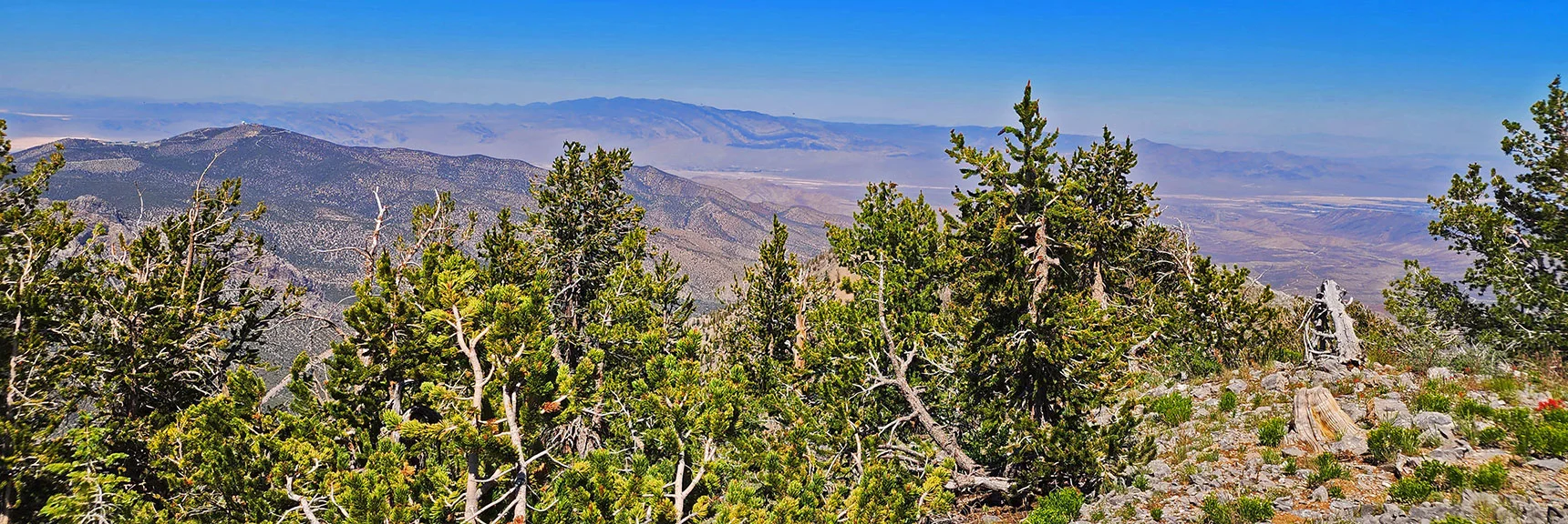 Sheep Range (Far Horizon). North Vegas Valley (Right). | Fletcher Canyon to Harris Mountain Summit | Mt Charleston Wilderness, Nevada