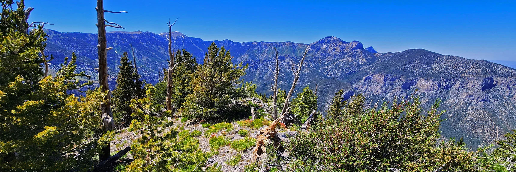 Charleston to Fletcher Peak from Harris Mt. Summit. | Fletcher Canyon to Harris Mountain Summit | Mt Charleston Wilderness, Nevada