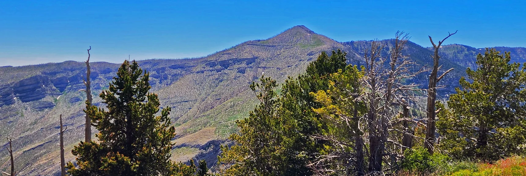 Griffith Peak from Harris Mt. Summit. | Fletcher Canyon to Harris Mountain Summit | Mt Charleston Wilderness, Nevada