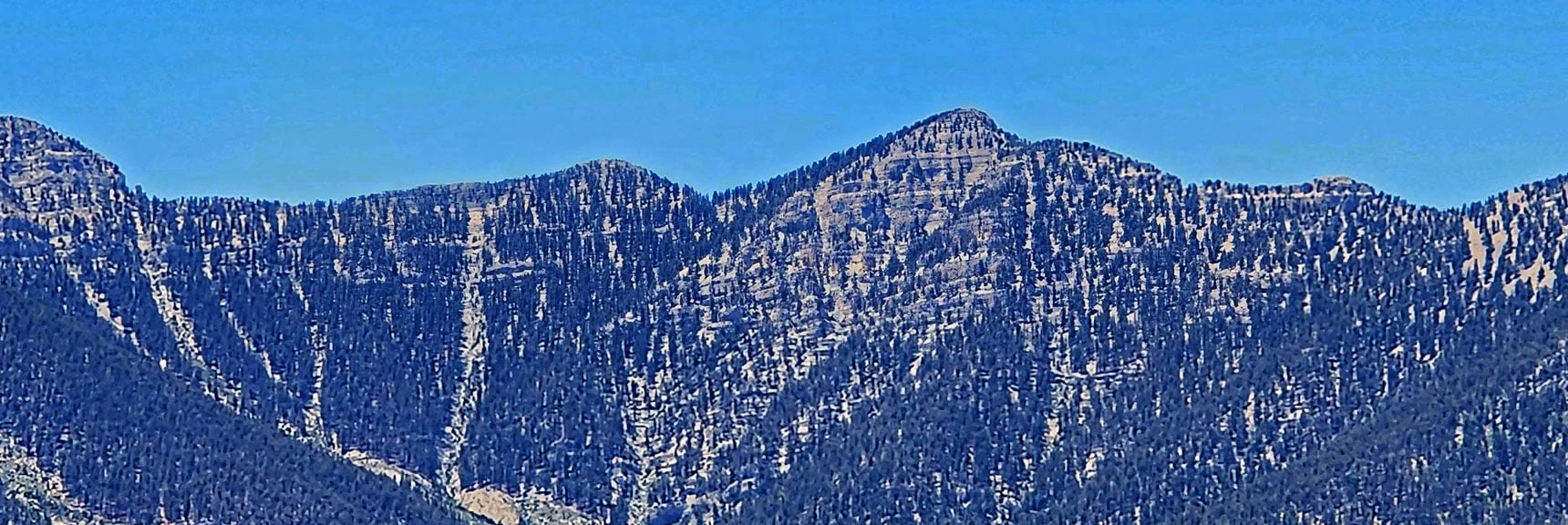 West Rim, Upper Kyle Canyon to Lee Peak. | Fletcher Canyon to Harris Mountain Summit | Mt Charleston Wilderness, Nevada