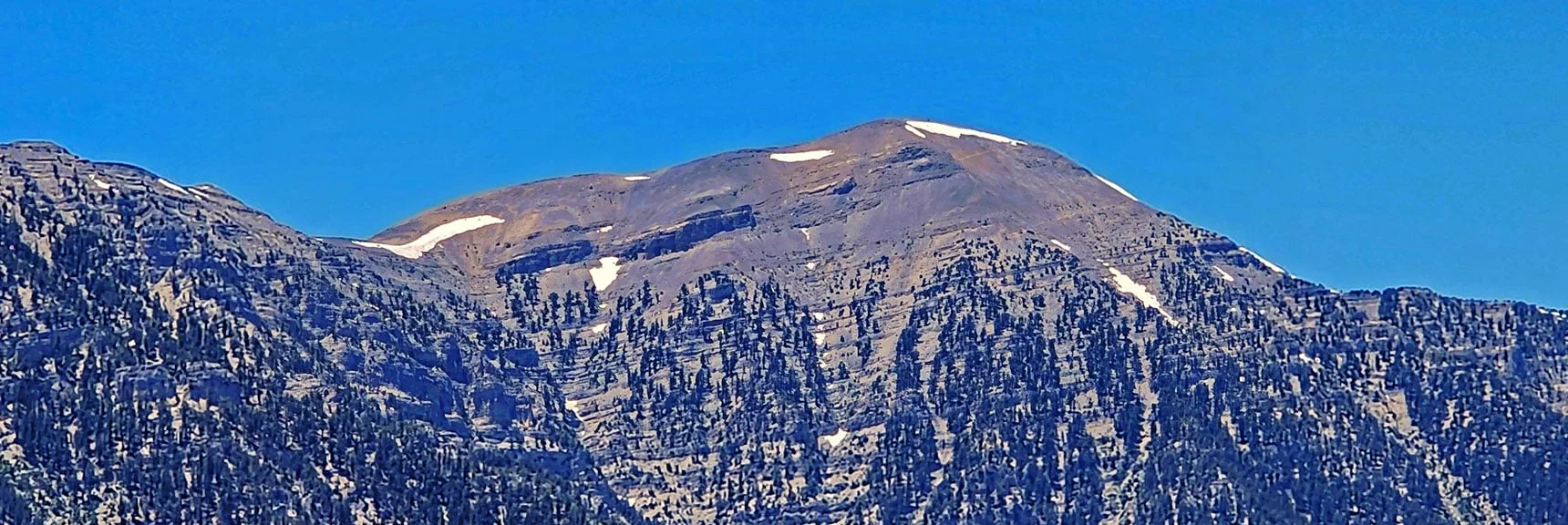 Charleston Peak. Center of Snow Field on Left Summit Base is Plane Crash Site.| Fletcher Canyon to Harris Mountain Summit | Mt Charleston Wilderness, Nevada